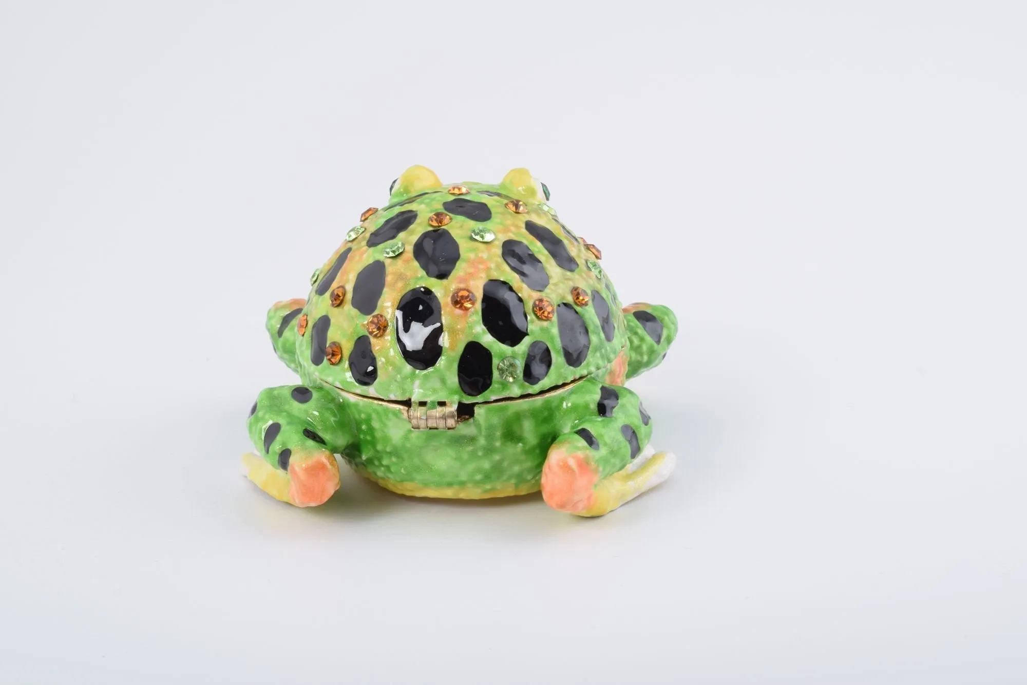 Black Spotted Toad