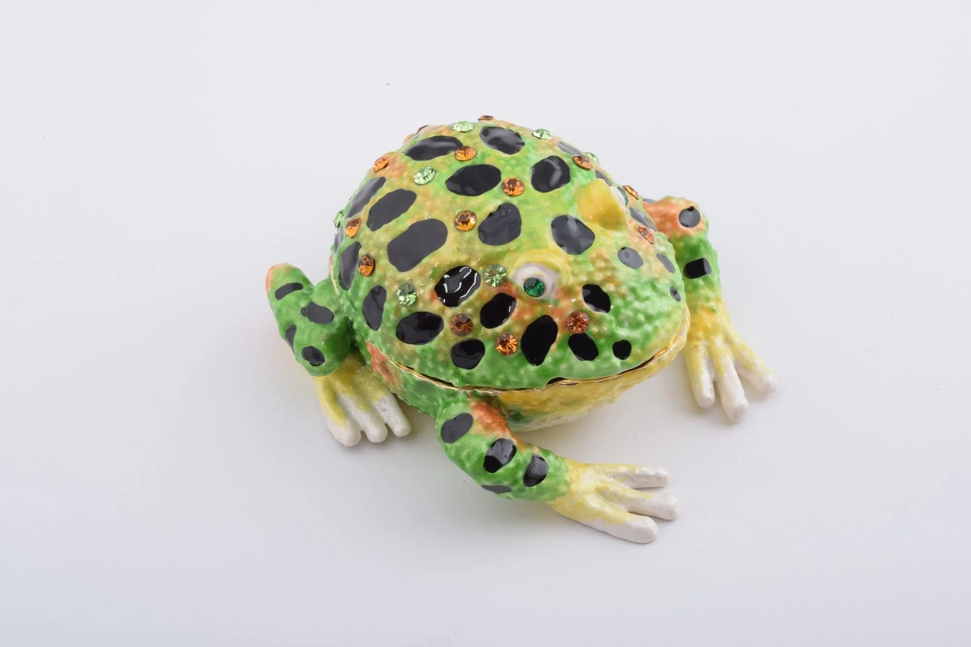 Black Spotted Toad