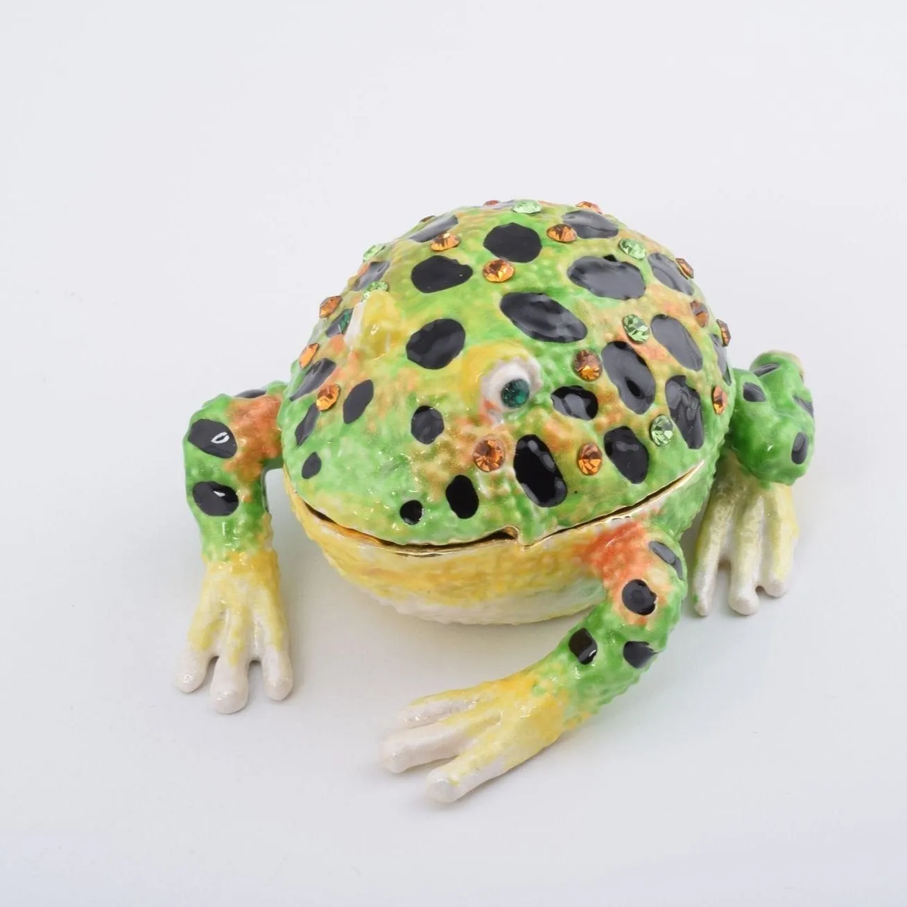 Black Spotted Toad
