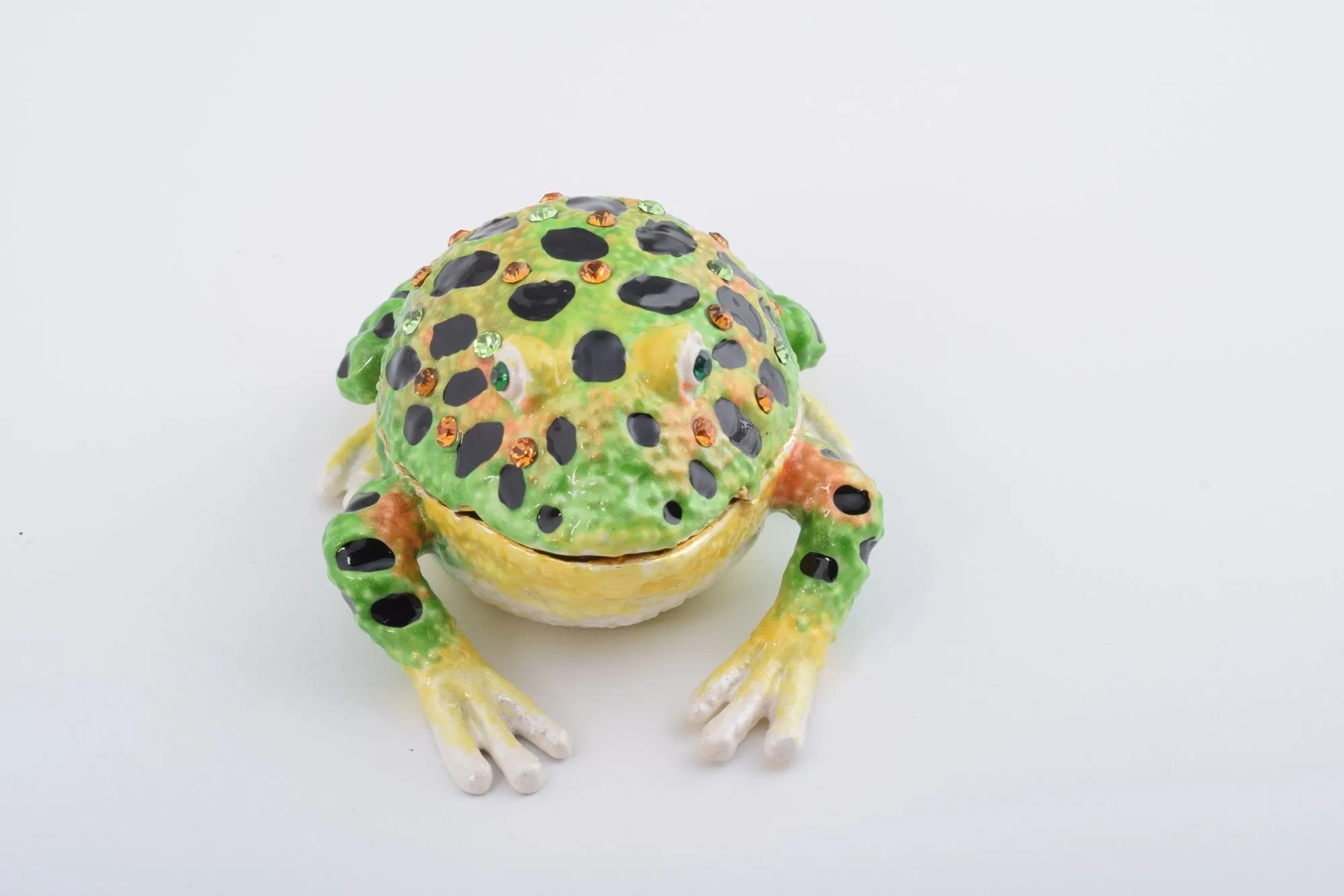 Black Spotted Toad