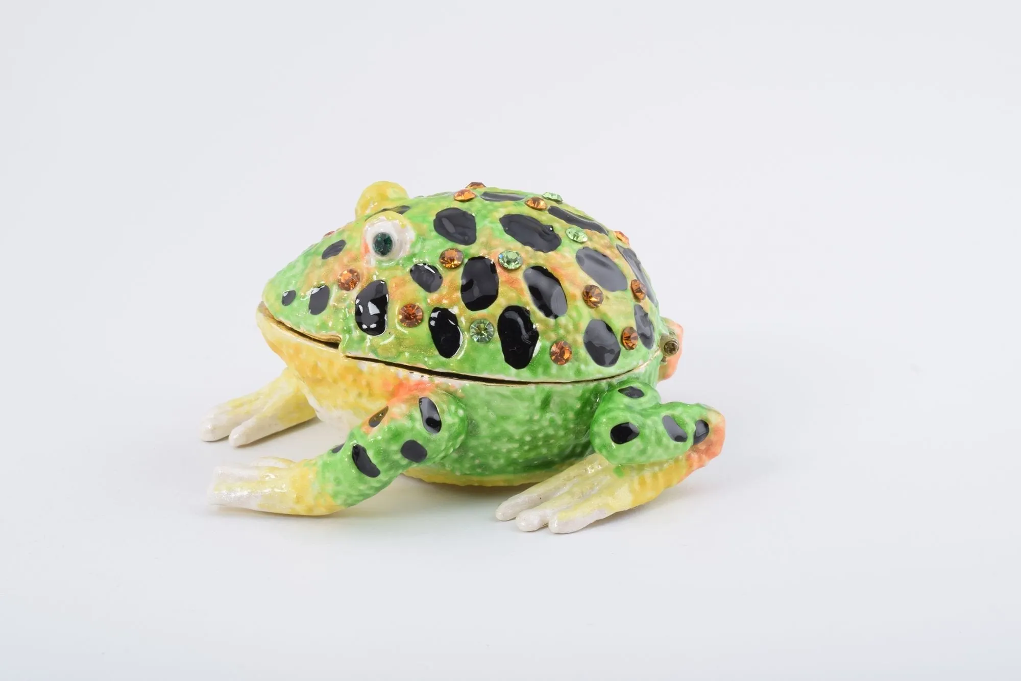 Black Spotted Toad