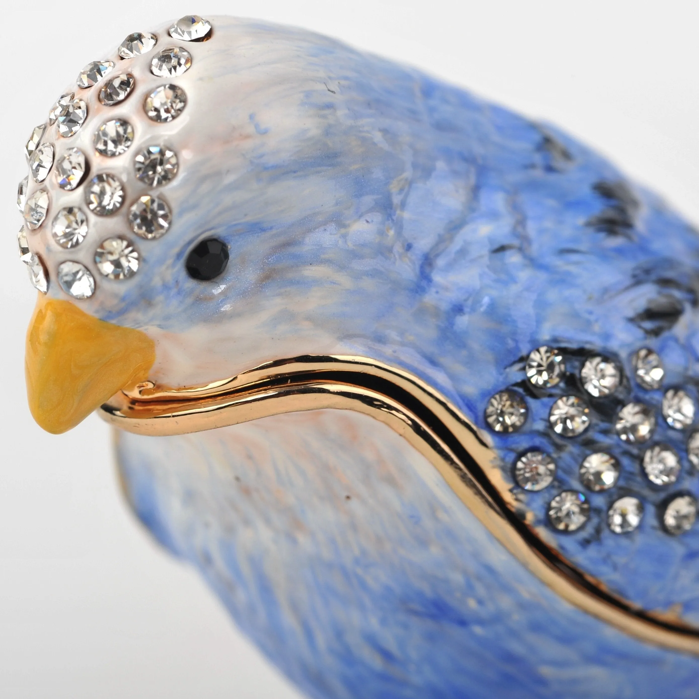 Blue Bird