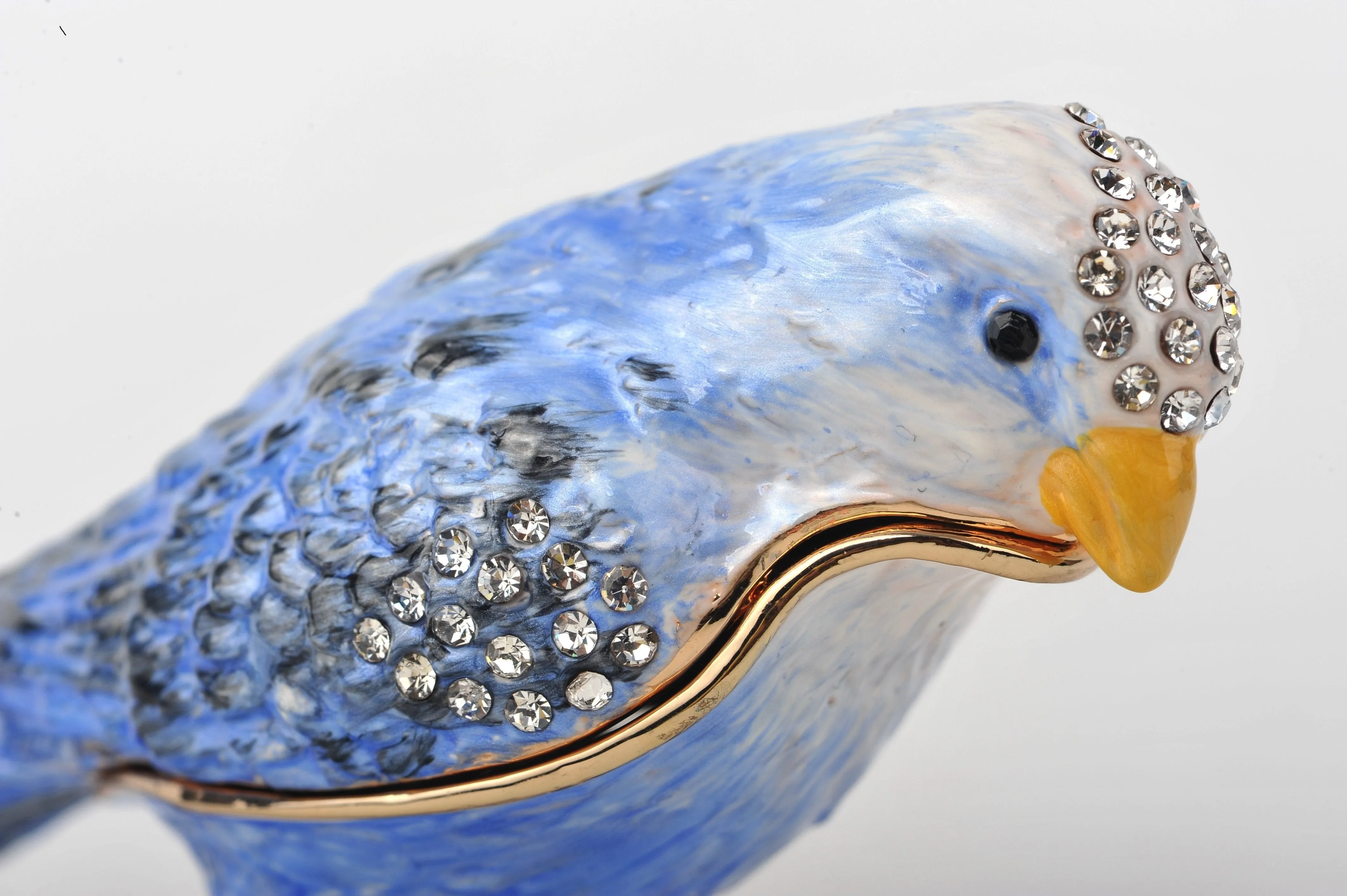 Blue Bird