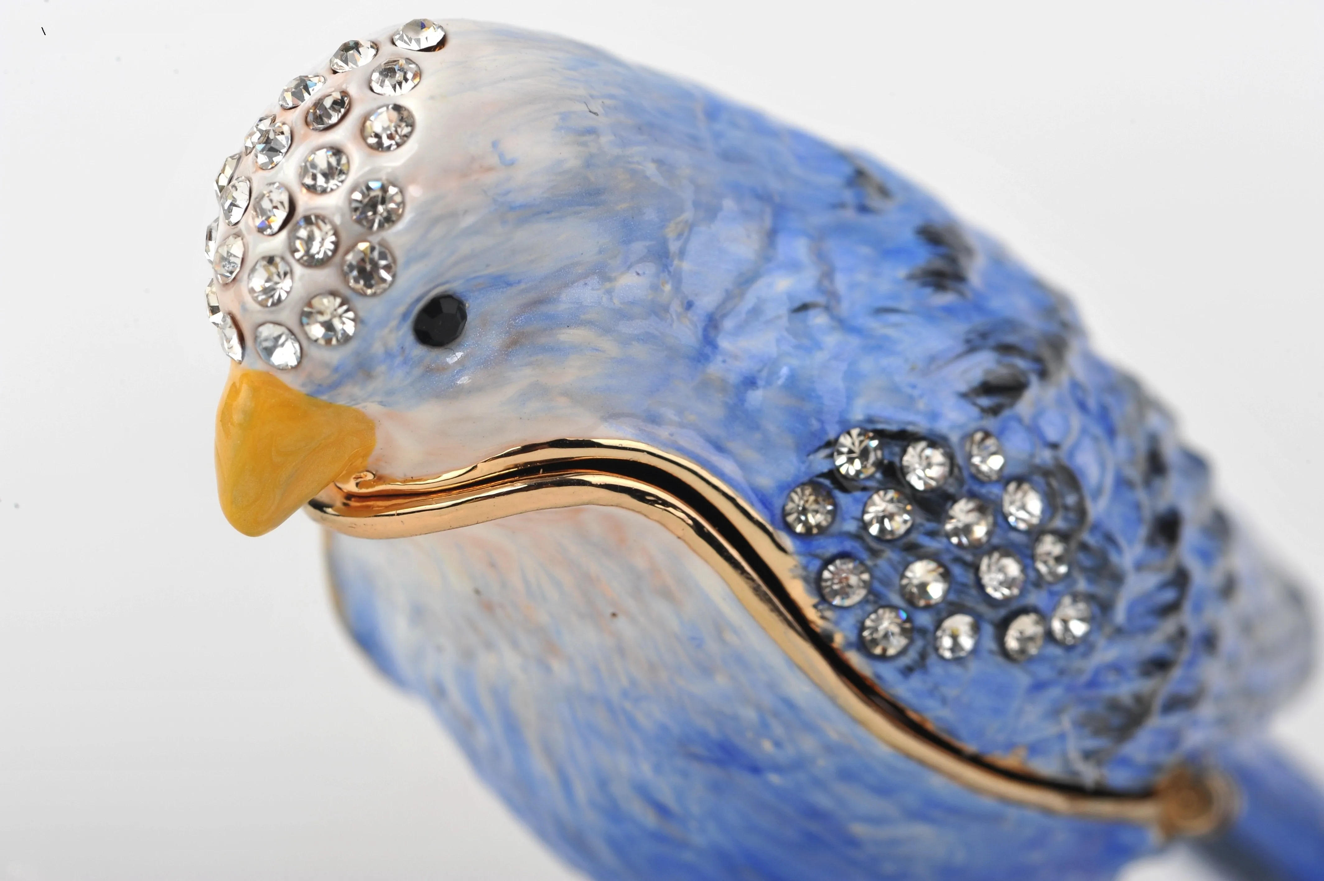 Blue Bird
