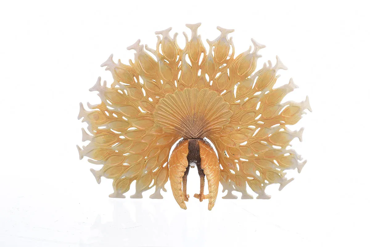 Brown Peacock
