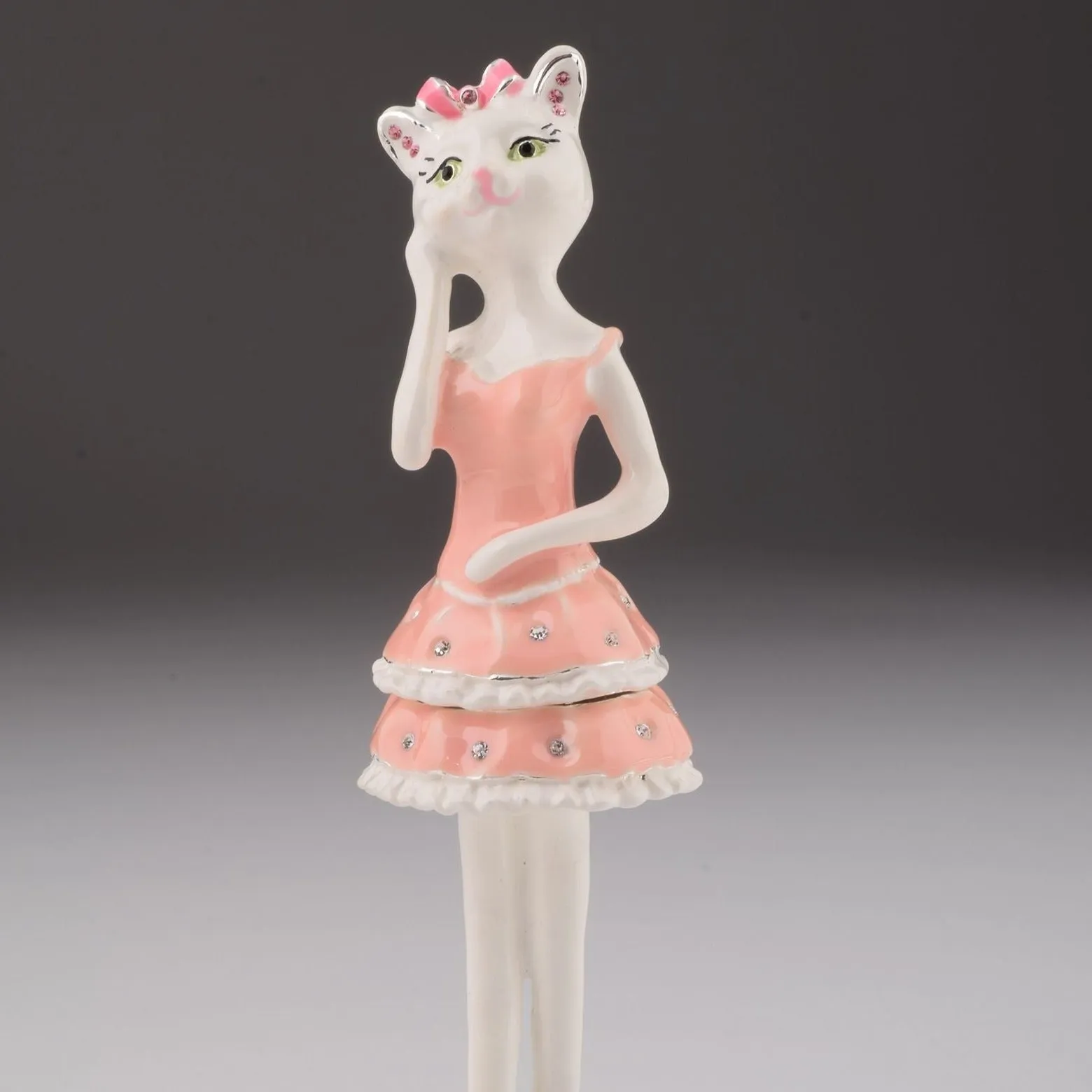 Cat with Pink Dress