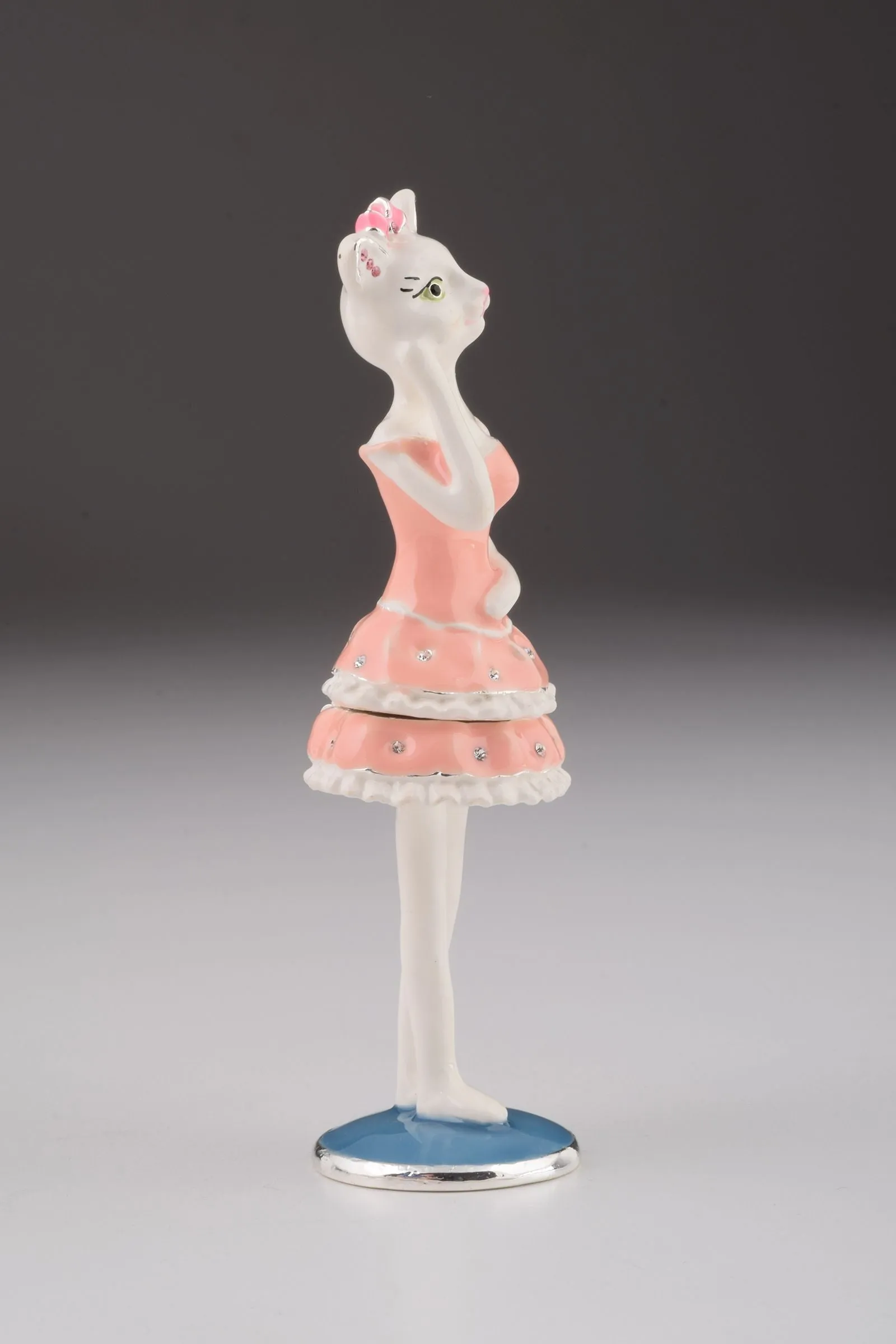 Cat with Pink Dress
