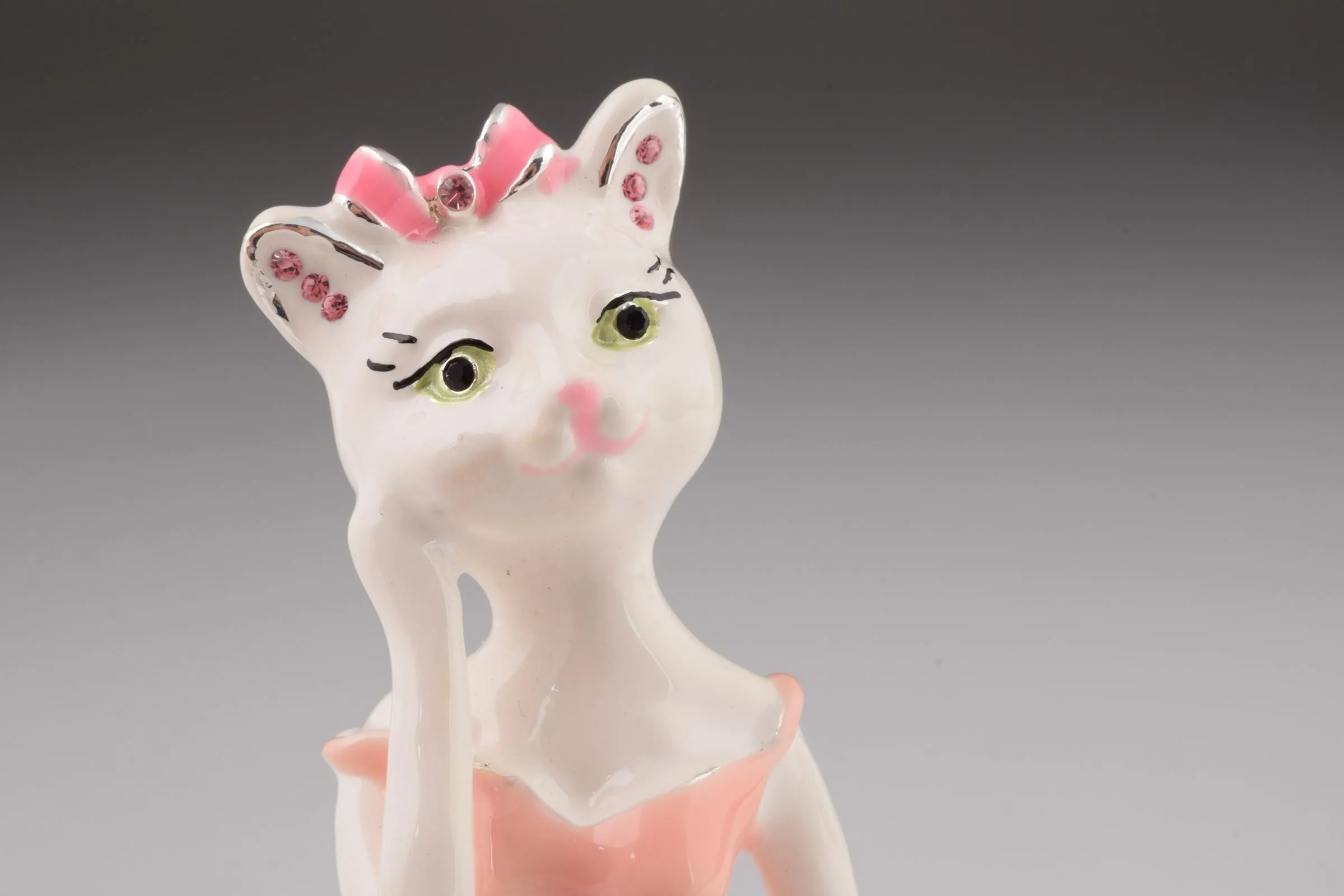 Cat with Pink Dress