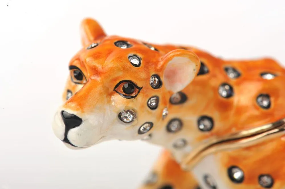 Cheetah on the Hunt