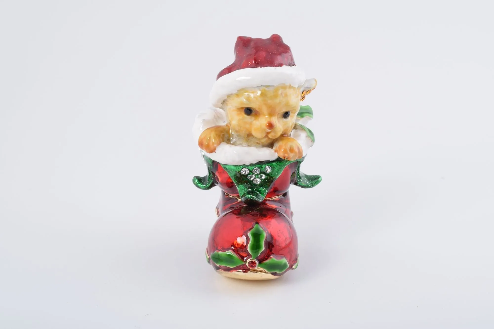 Christmas Cat in a Christmas Boot