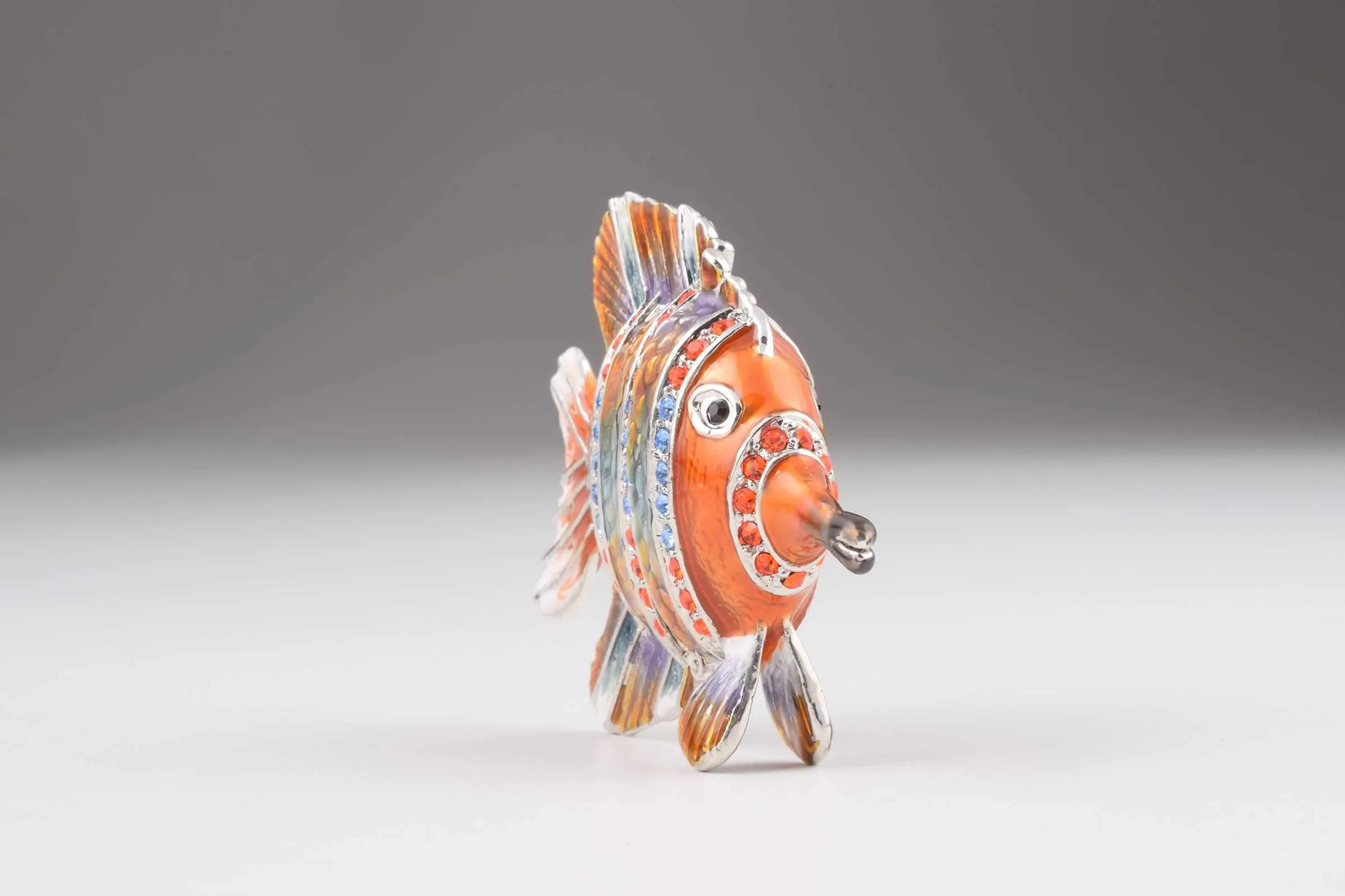 Colorful Fish