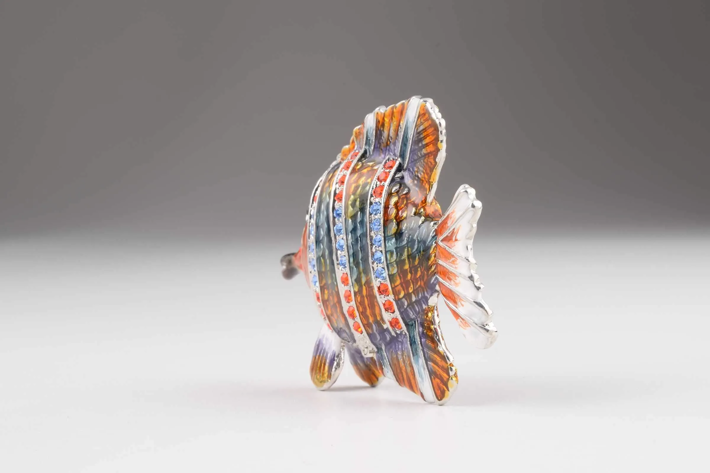 Colorful Fish