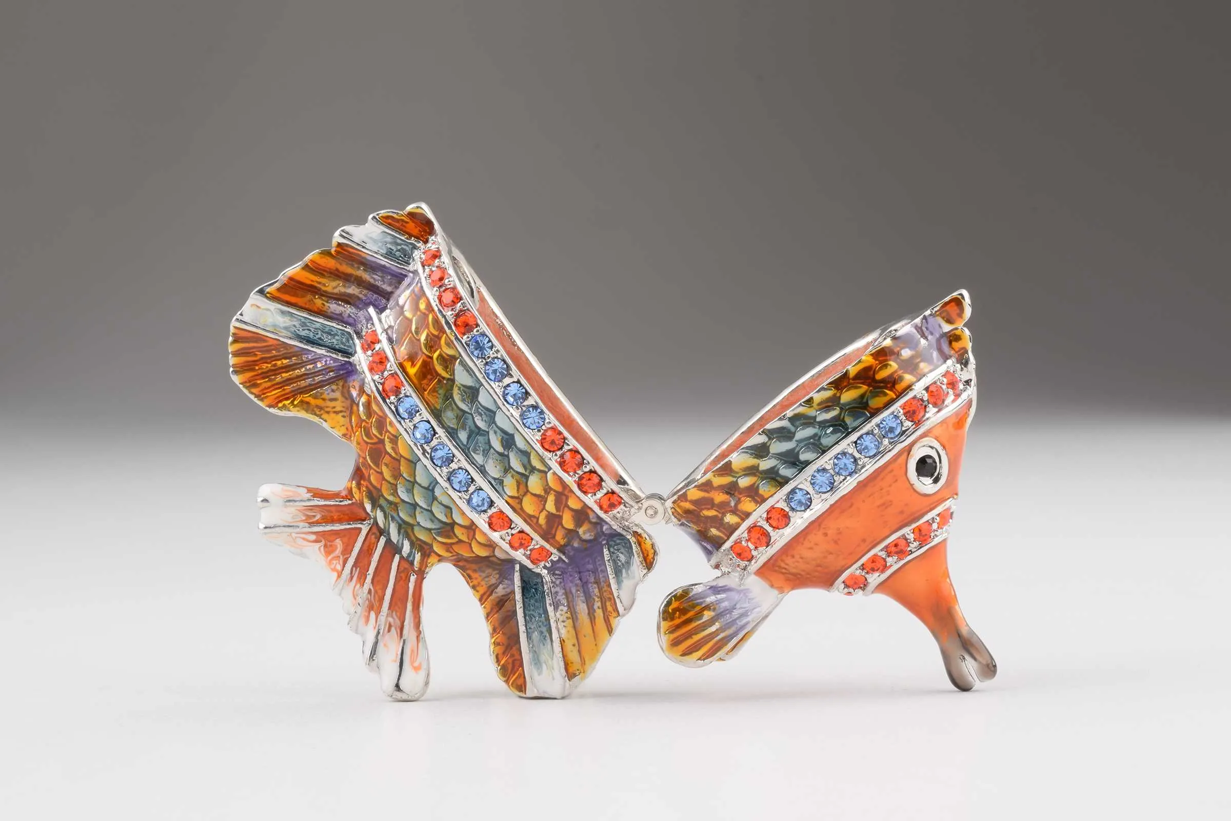 Colorful Fish