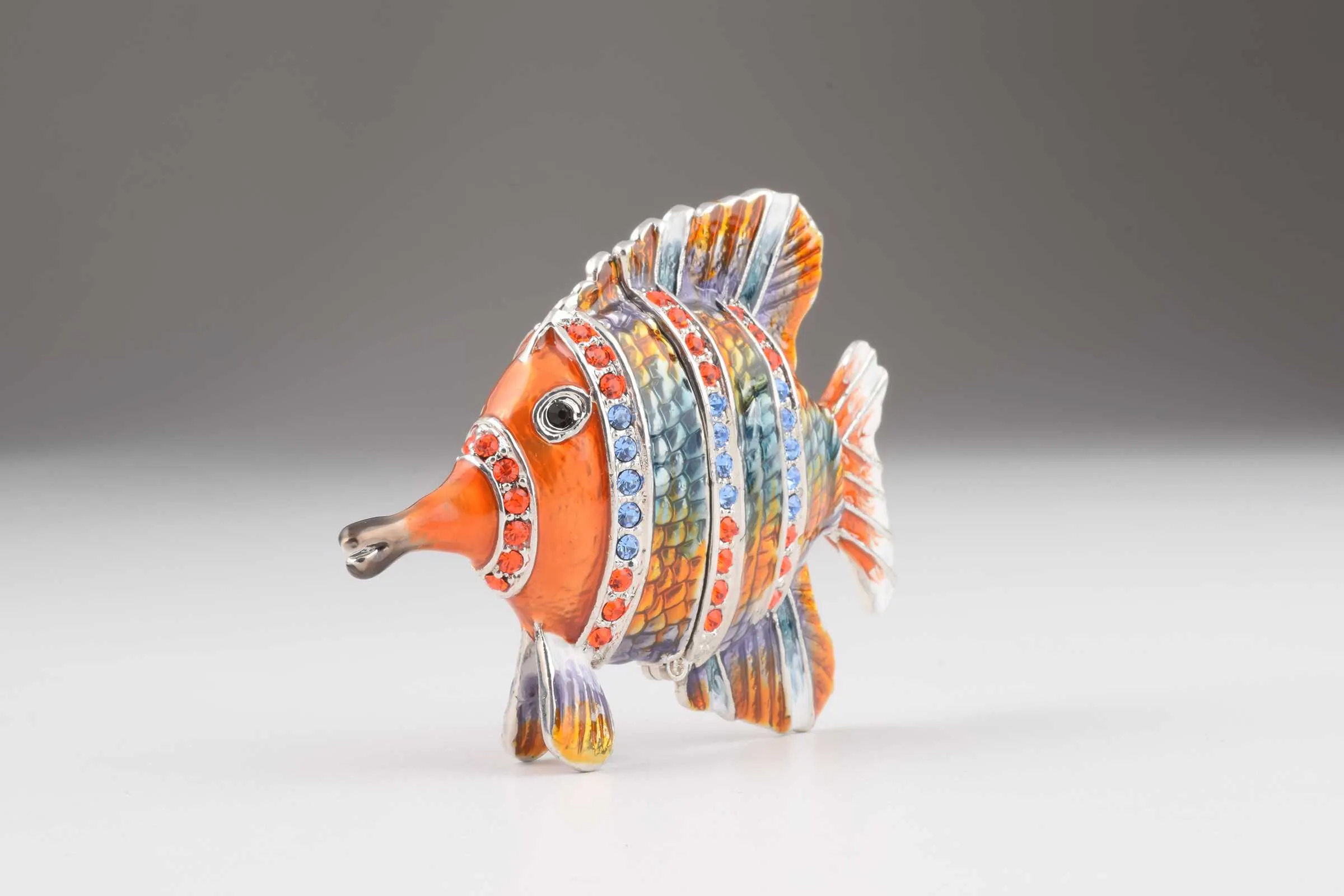 Colorful Fish