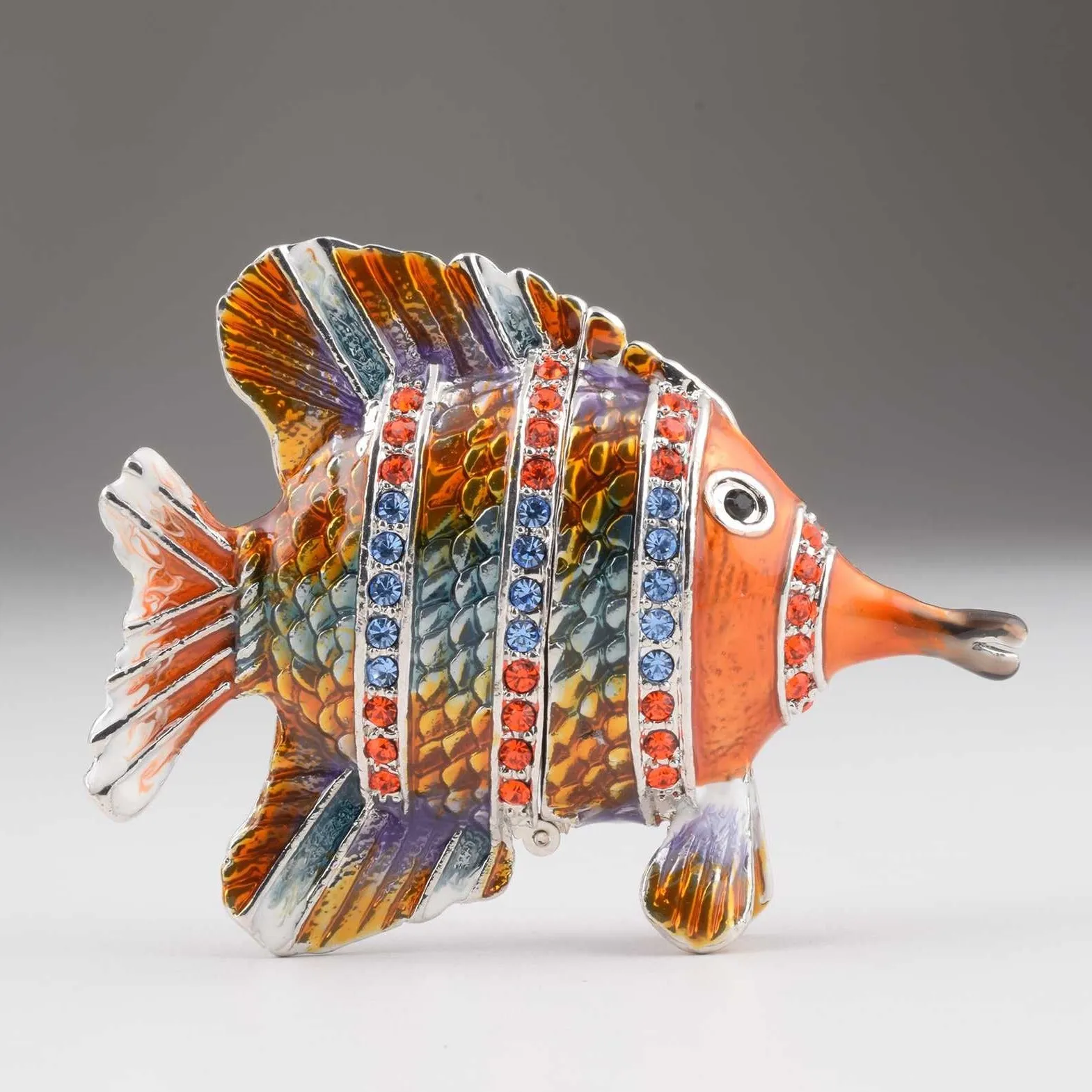 Colorful Fish