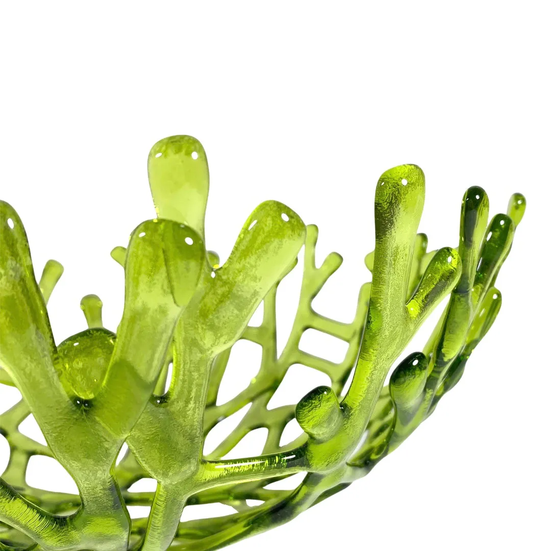 Coral Branch Bowl | Large Lime Green Transparent Glass
