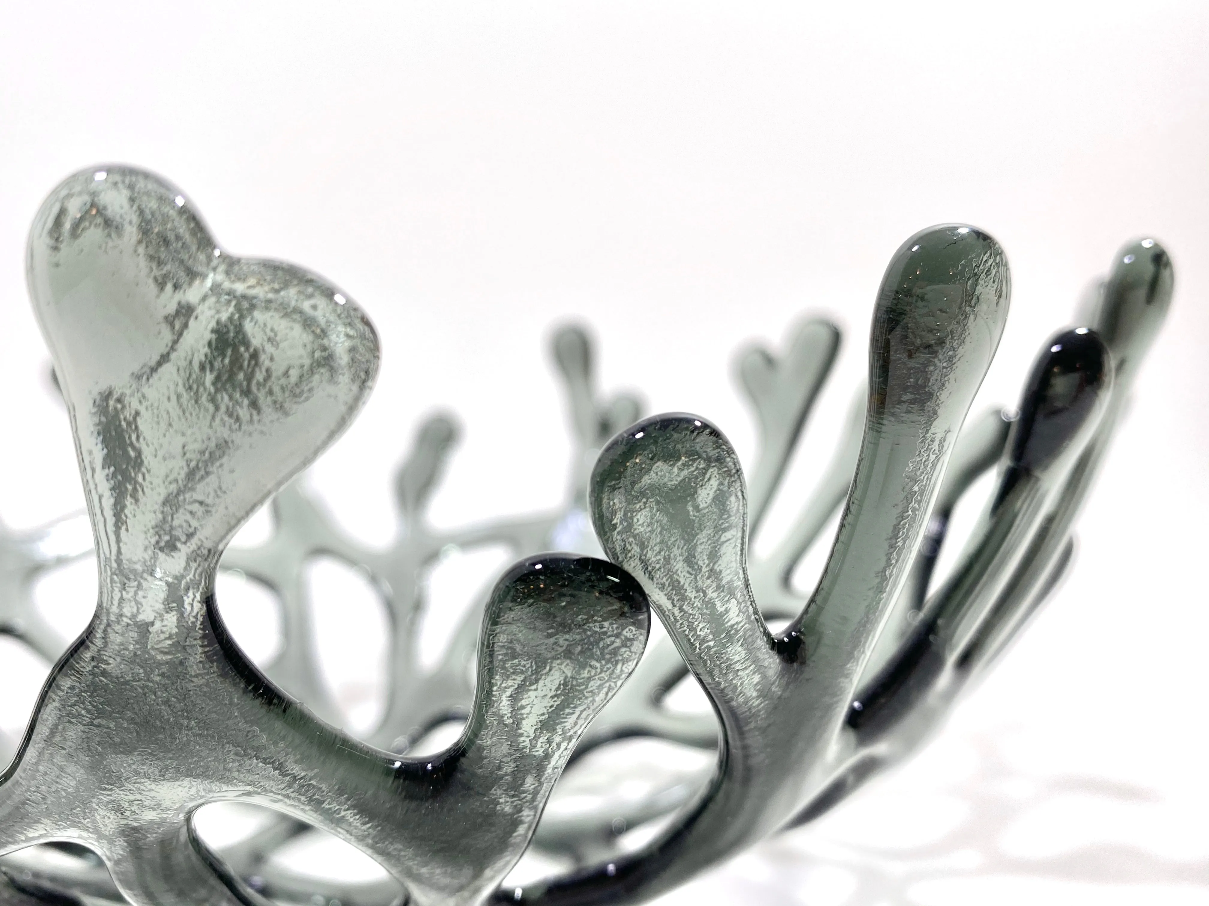 Coral Branch Bowl | Medium Gray Transparent Glass