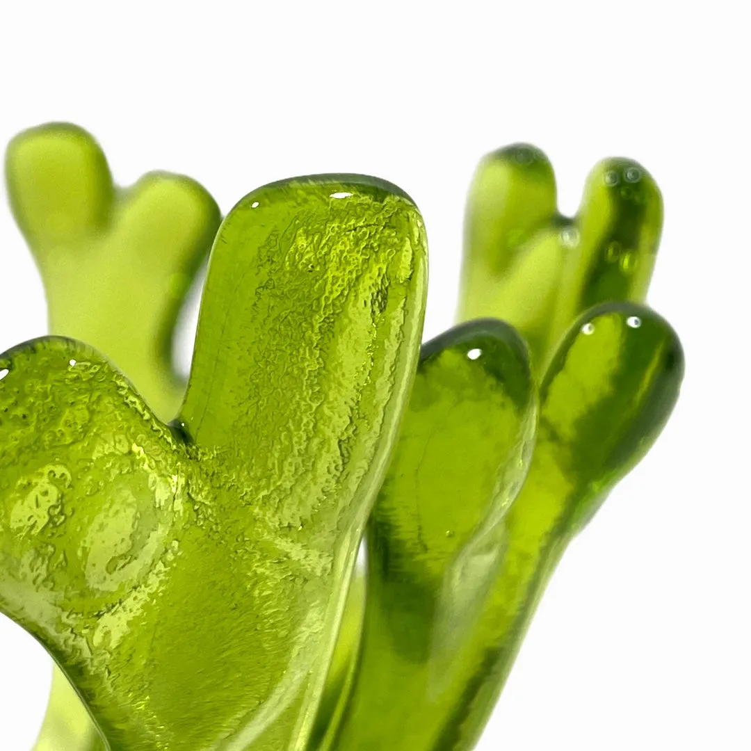 Coral Branch Bowl | Small Lime Green Transparent Glass