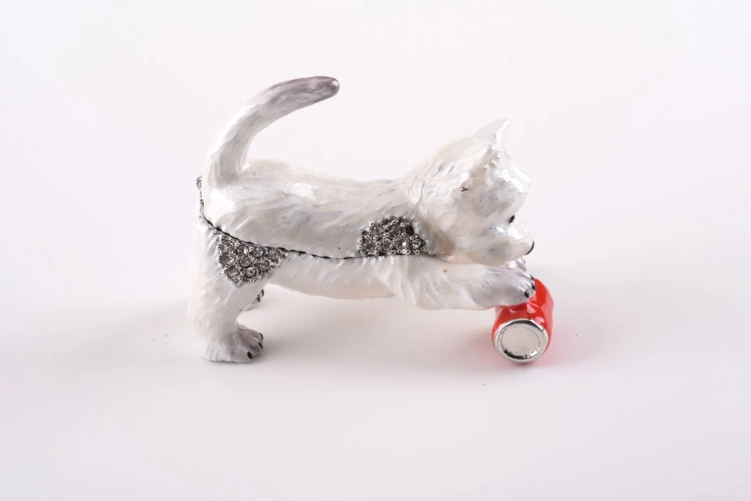 Dog Playing with Can