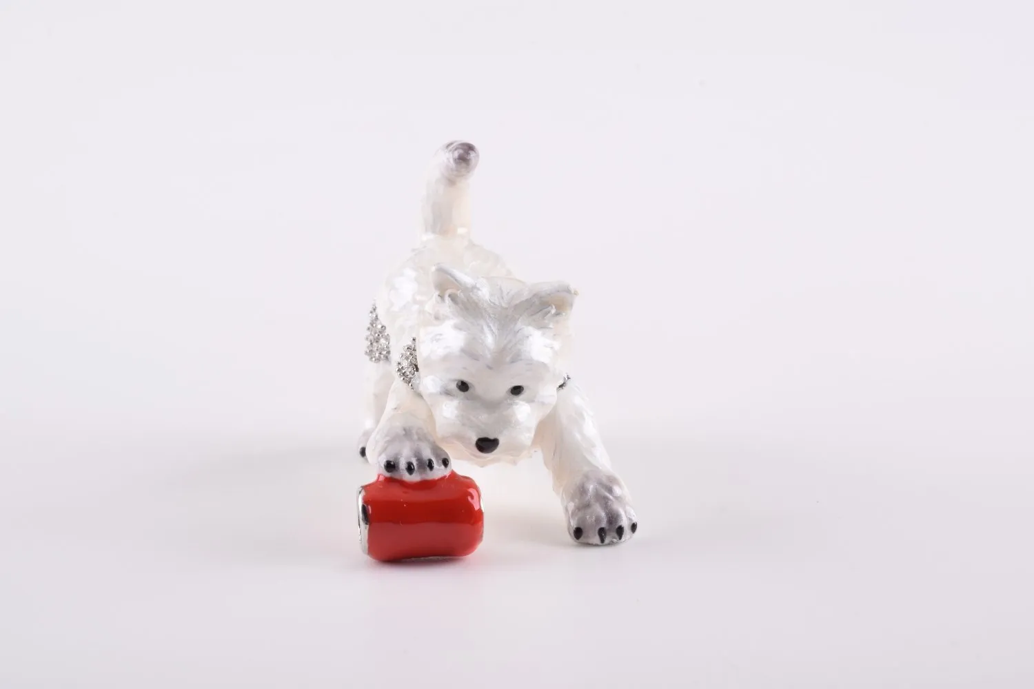 Dog Playing with Can