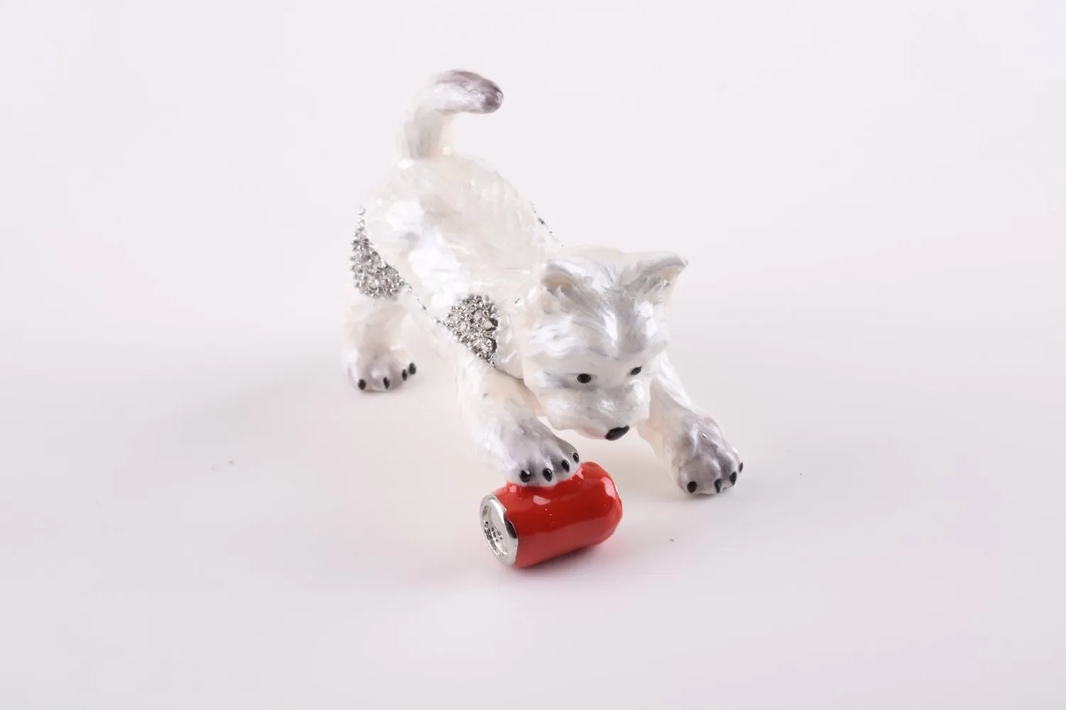 Dog Playing with Can