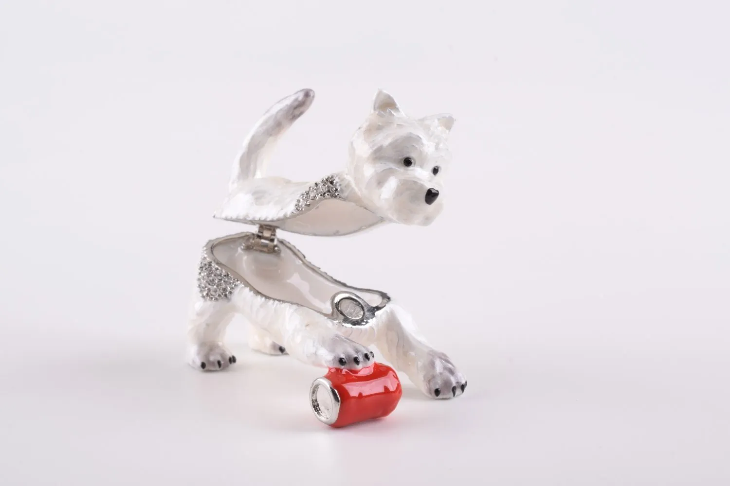 Dog Playing with Can