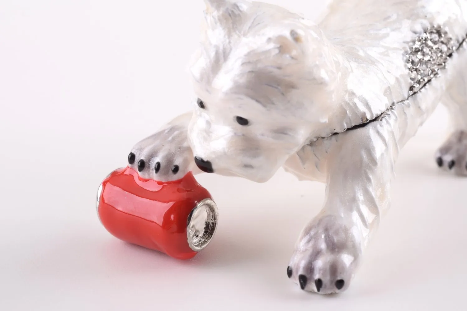 Dog Playing with Can