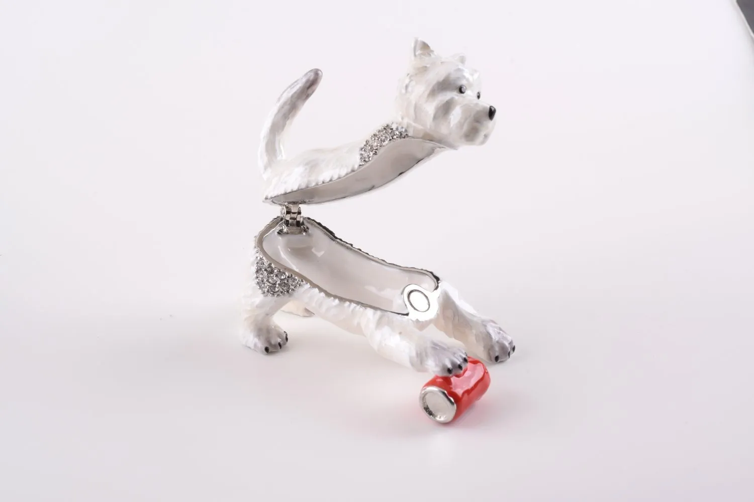 Dog Playing with Can