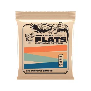 Ernie Ball Short Scale Flatwound Group 2 Electric Bass Strings, 45-105
