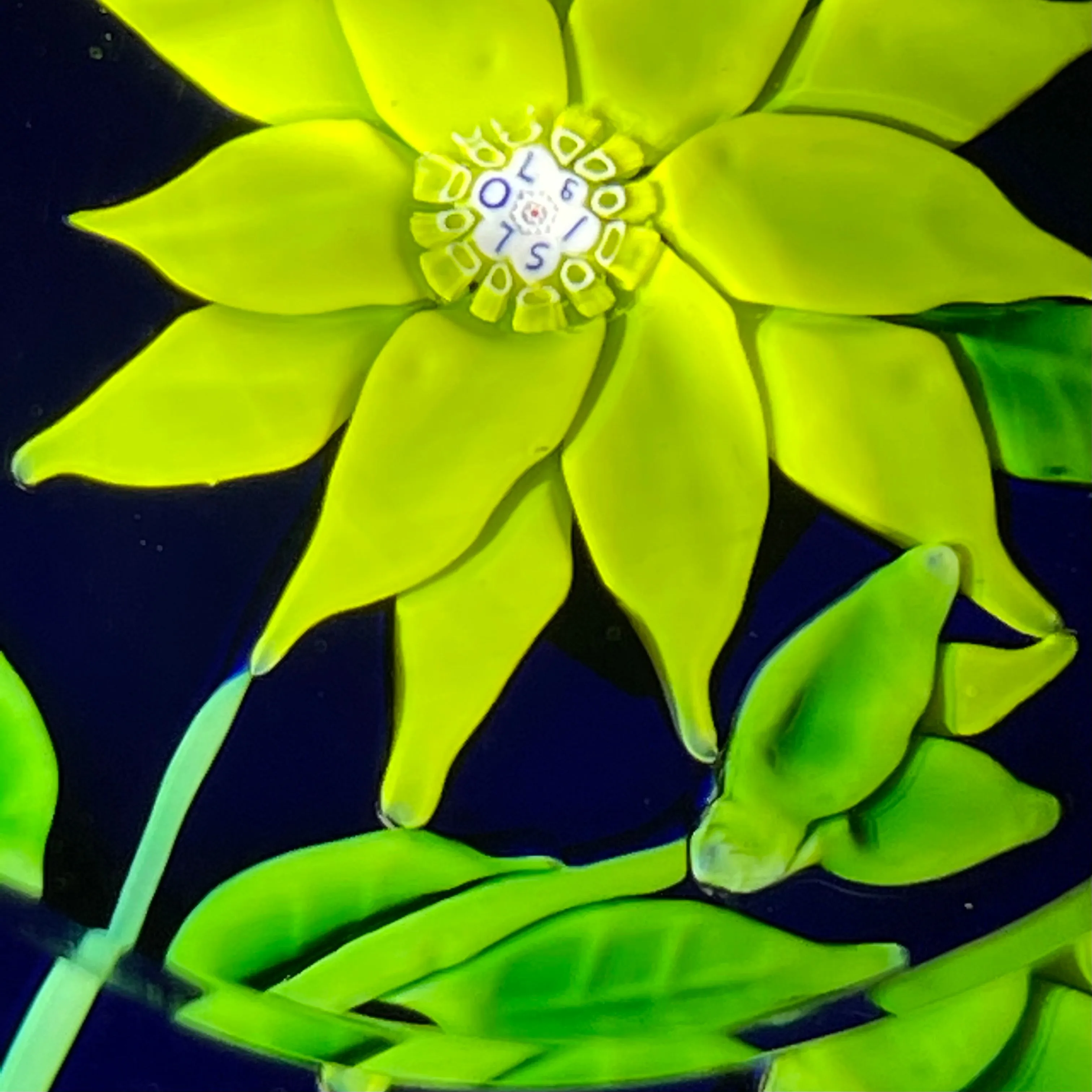 Faceted Saint-Louis 1970 flamework Yellow Clematis Flower on Transparent Cobalt Blue Ground