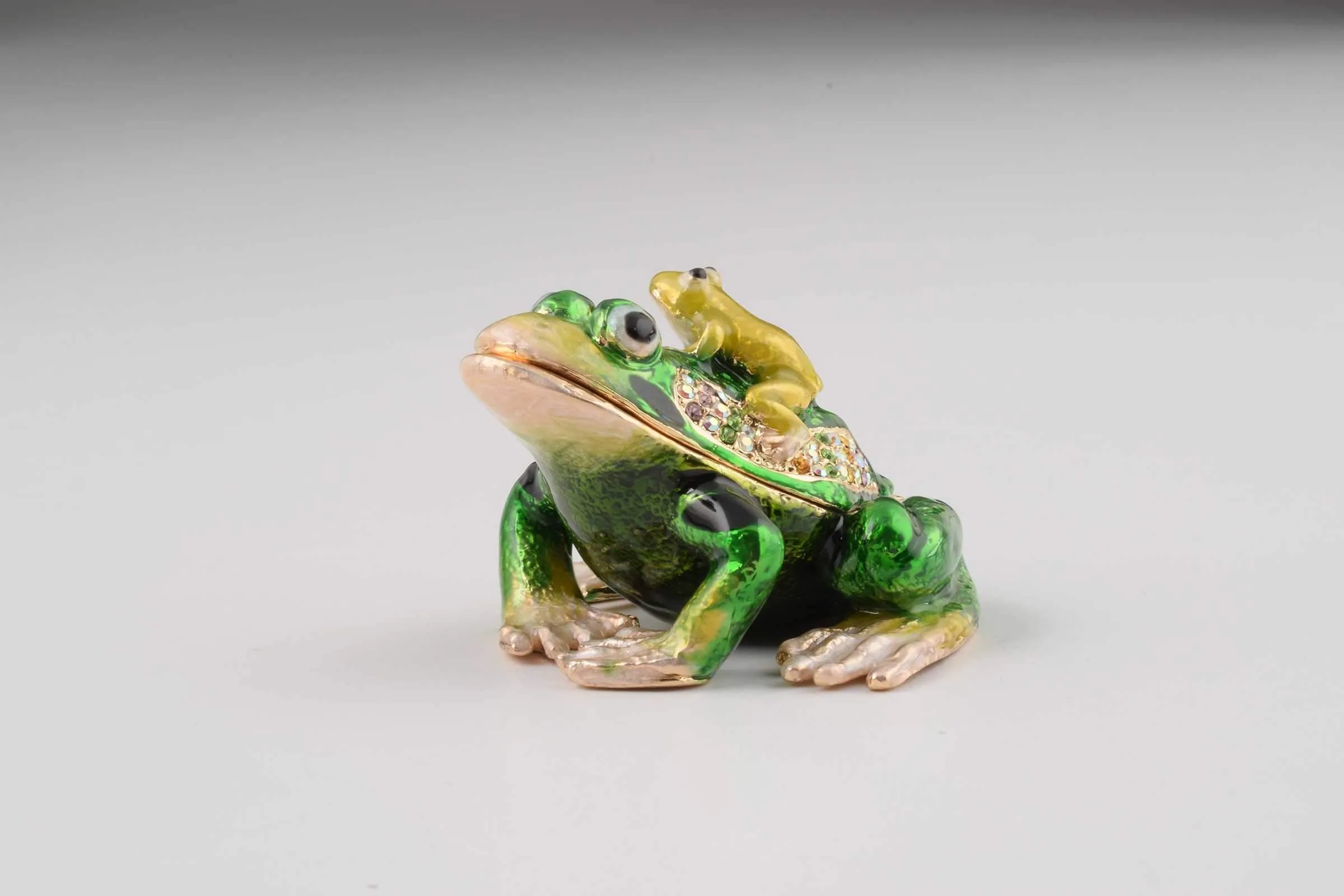 Frog with a Baby Frog