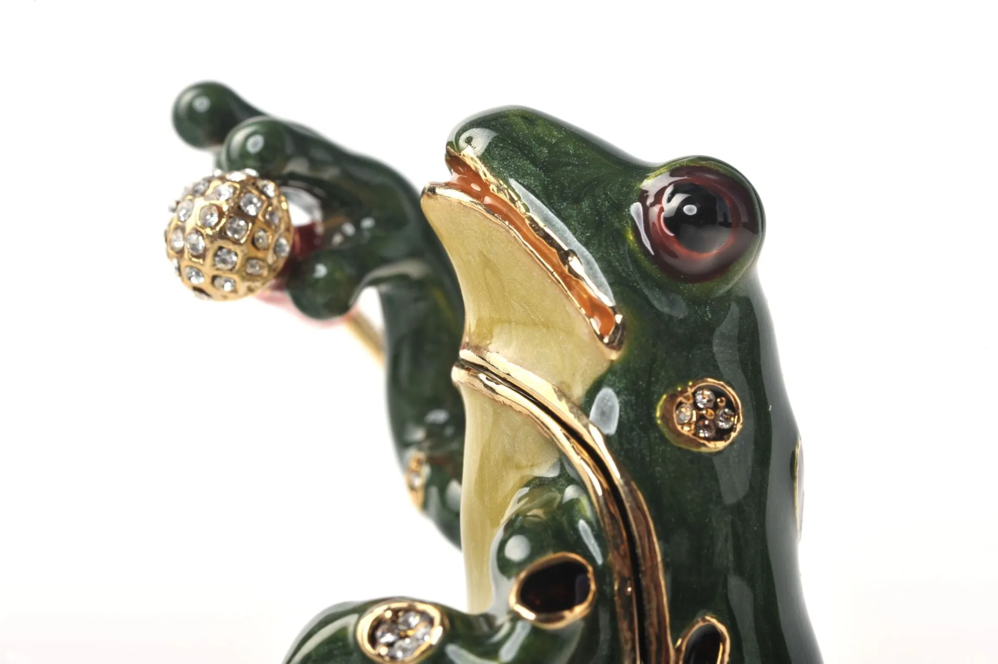 Frog with Microphone