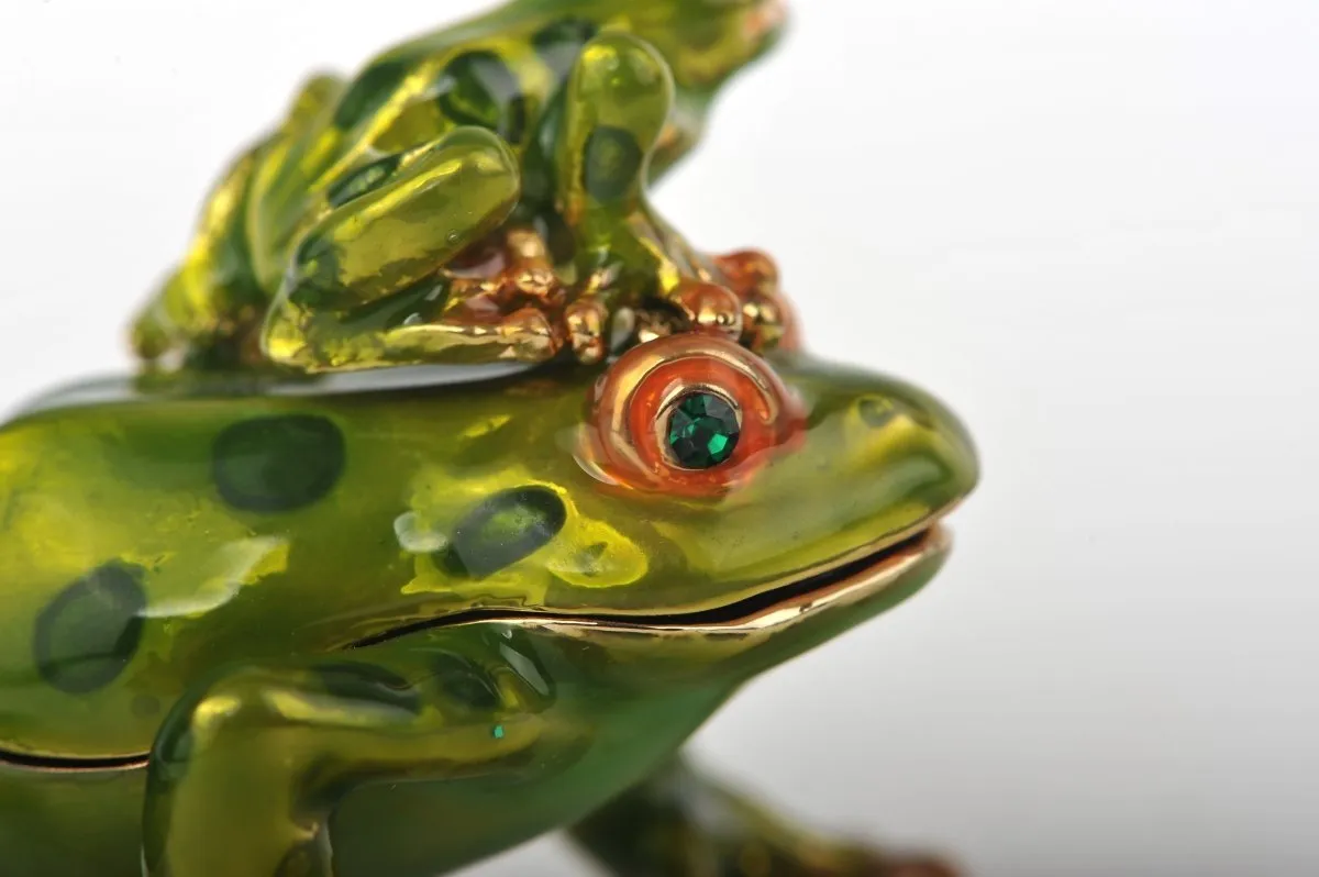 Frogs Family