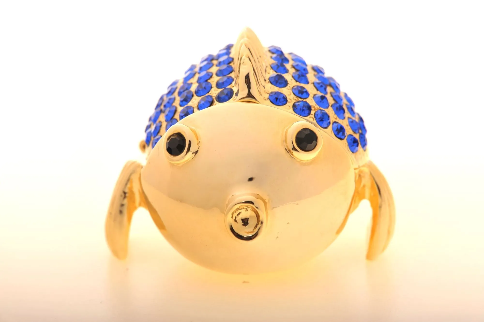 Gold & Blue Fish
