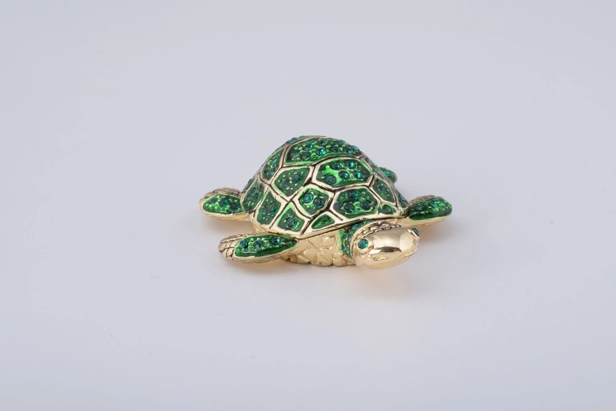 Golden Green Turtle