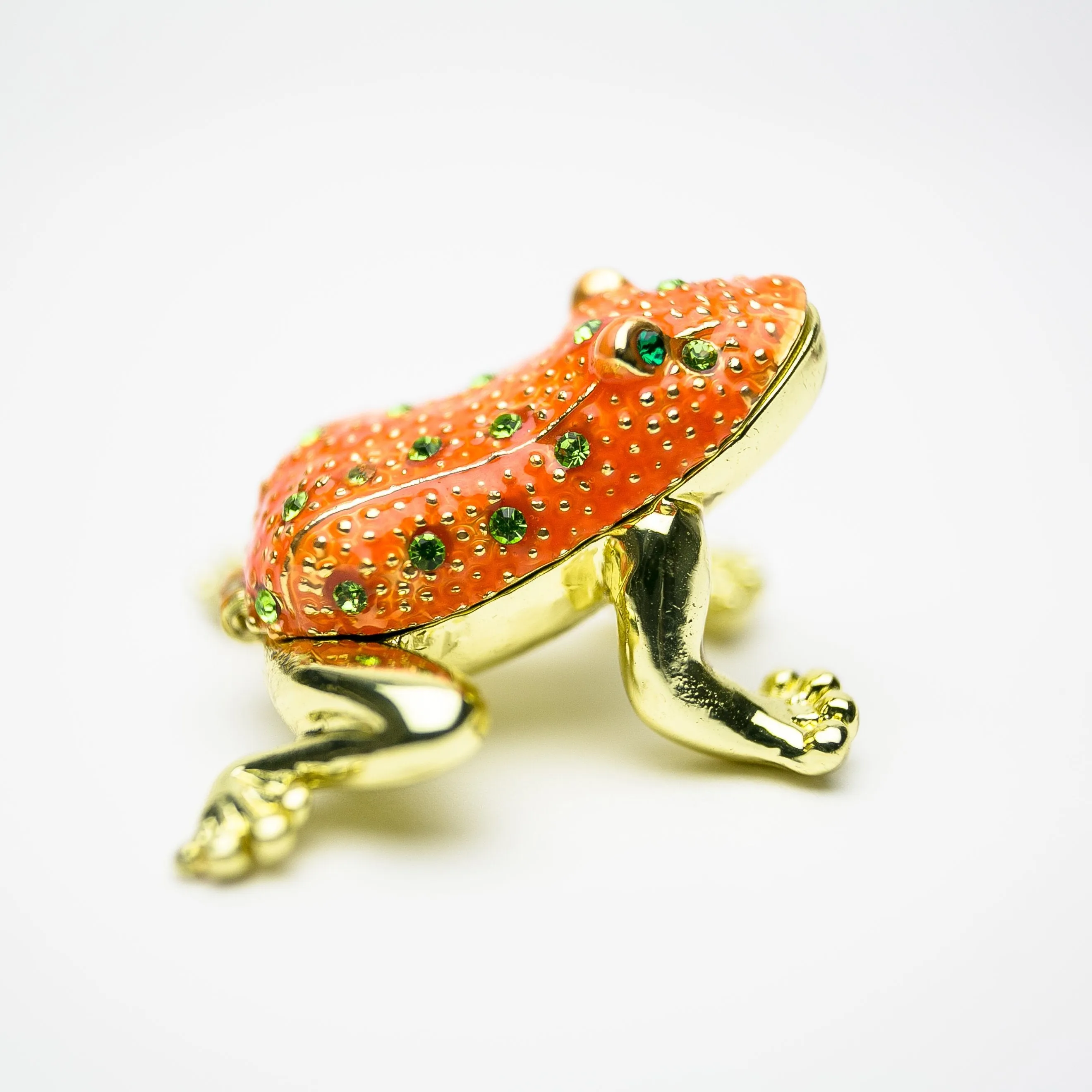 Golden Red Frog