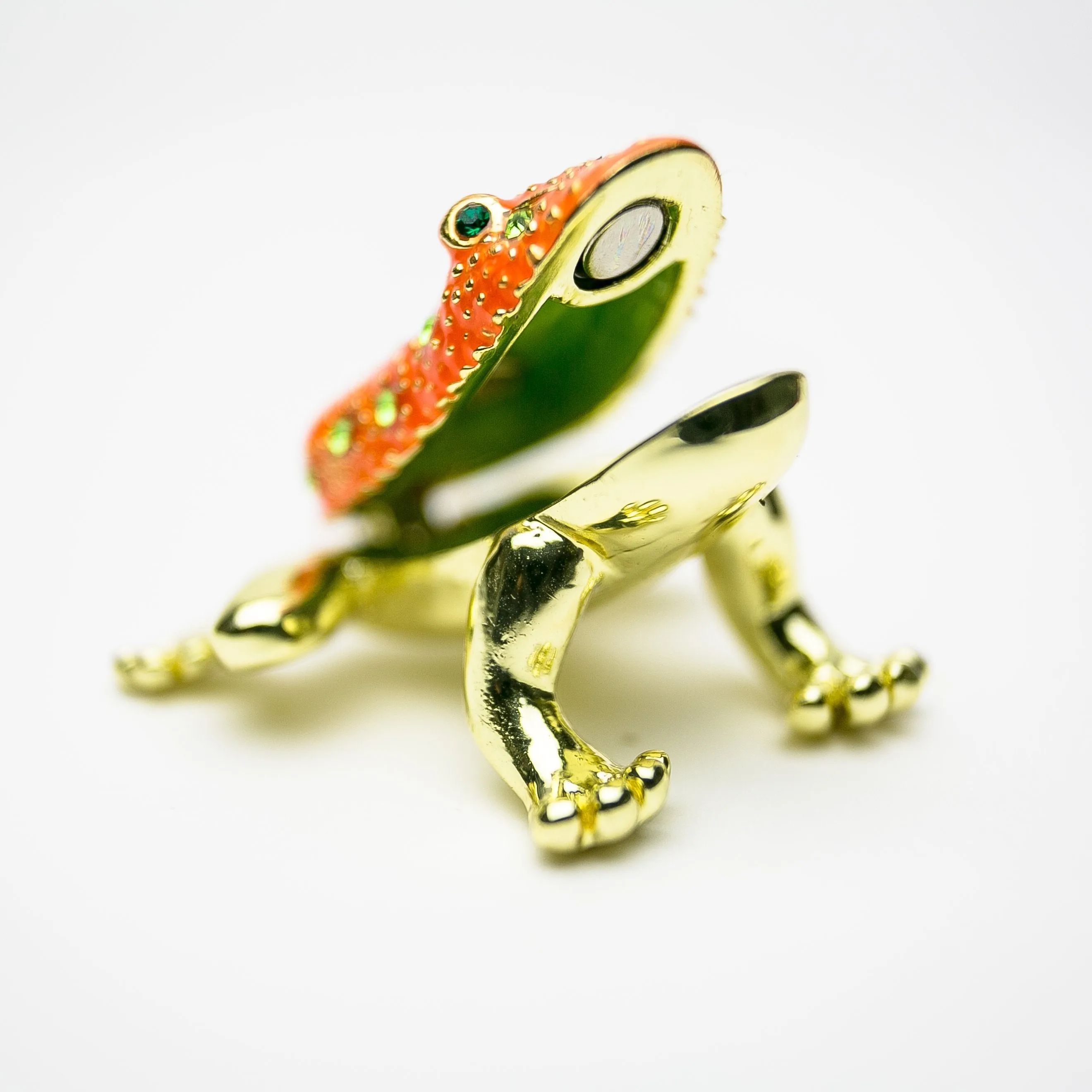 Golden Red Frog