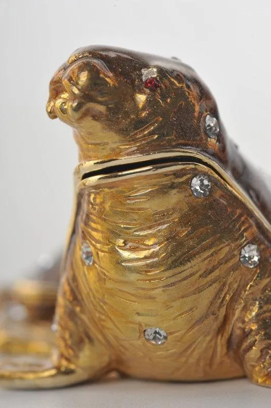 Golden Sea Lion