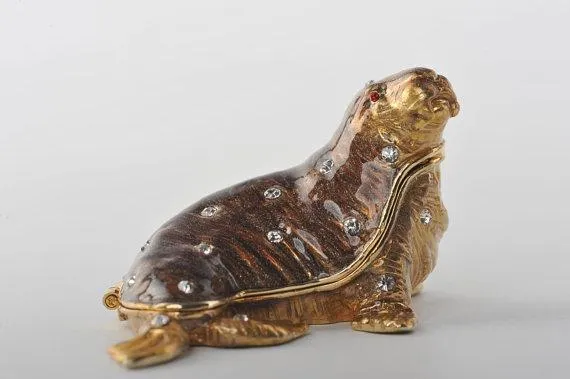 Golden Sea Lion