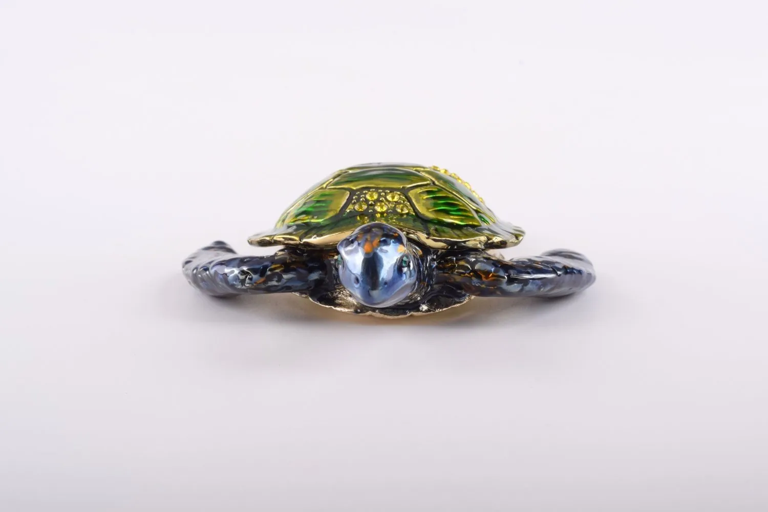 Green Sea Turtle