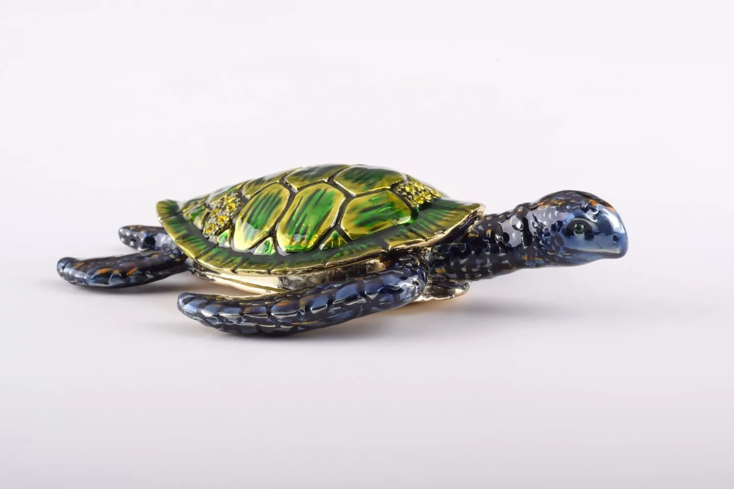 Green Sea Turtle