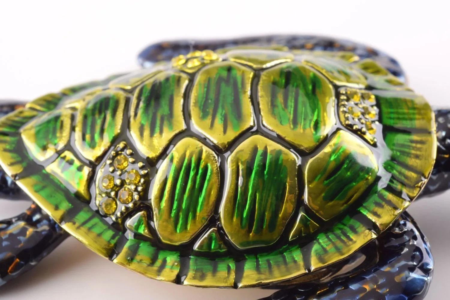 Green Sea Turtle