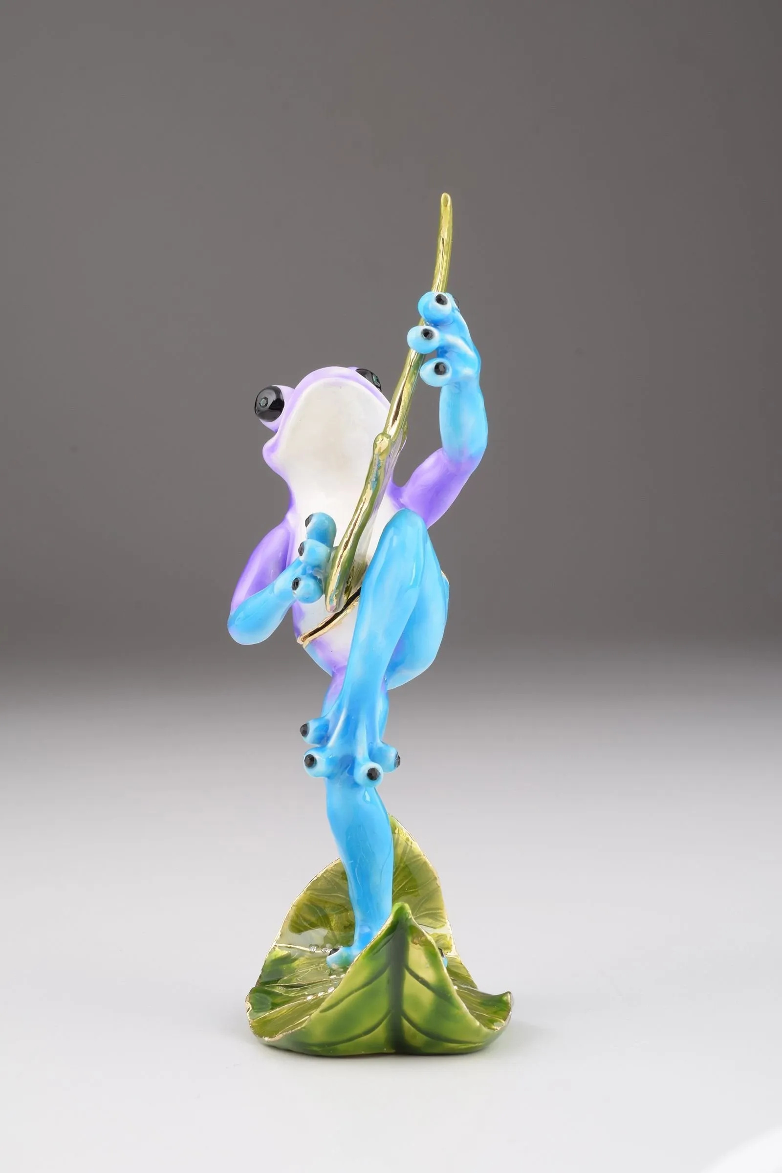Guitar Playing Frog
