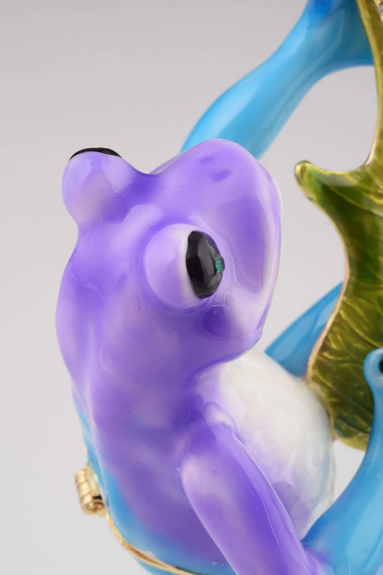Guitar Playing Frog