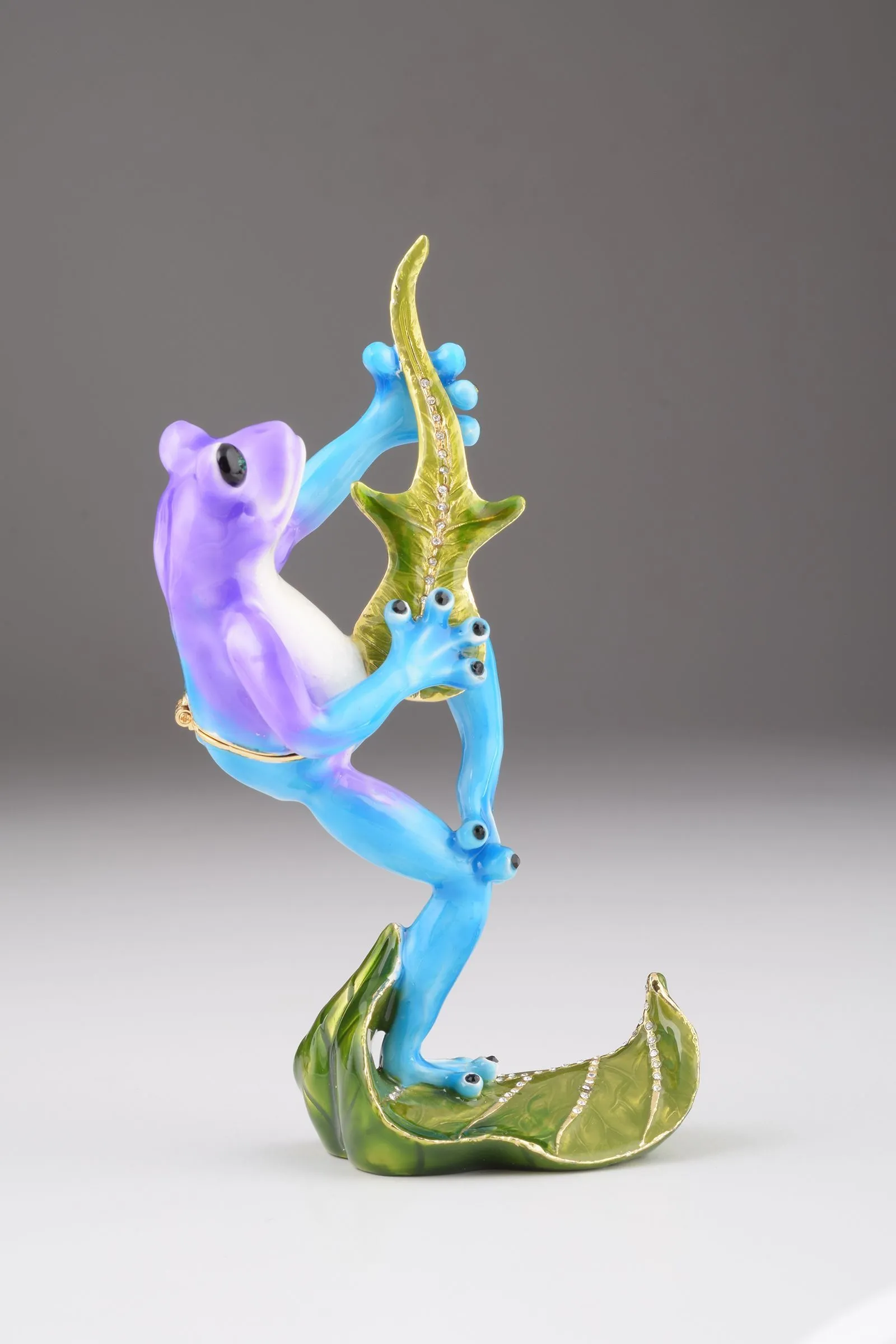 Guitar Playing Frog