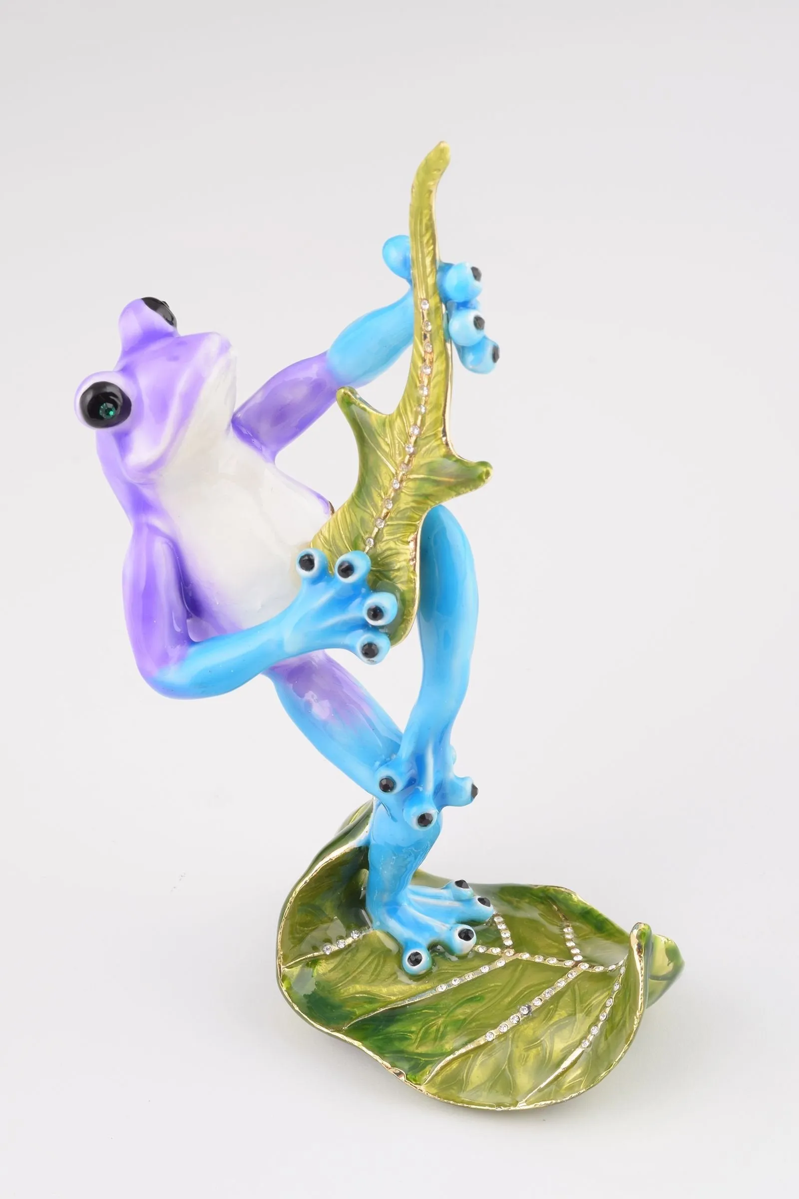 Guitar Playing Frog
