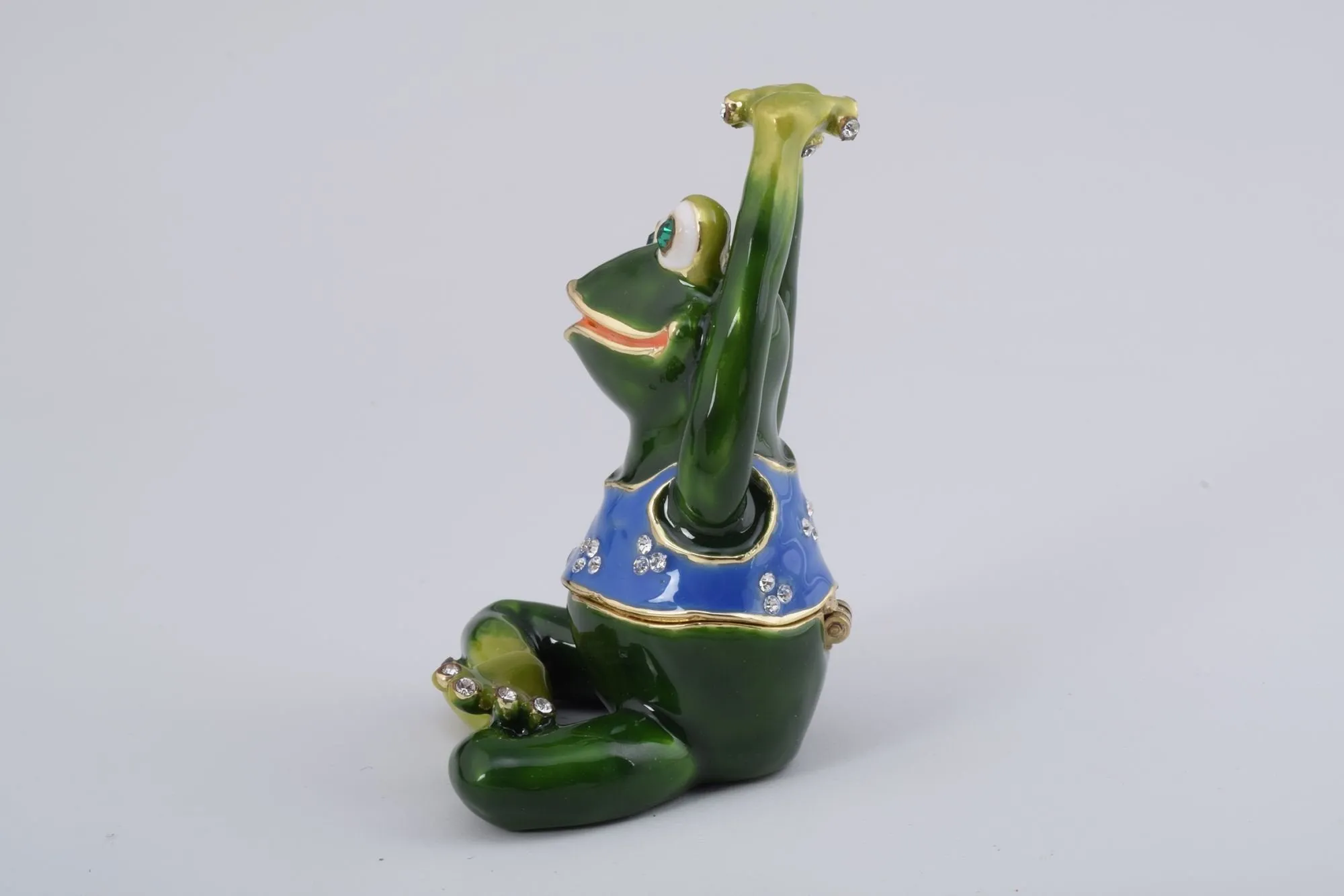 Gymnastic Frog with a Blue Shirt
