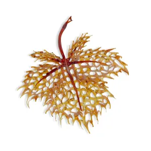 Handmade Glass Ornamental Maple Leaf