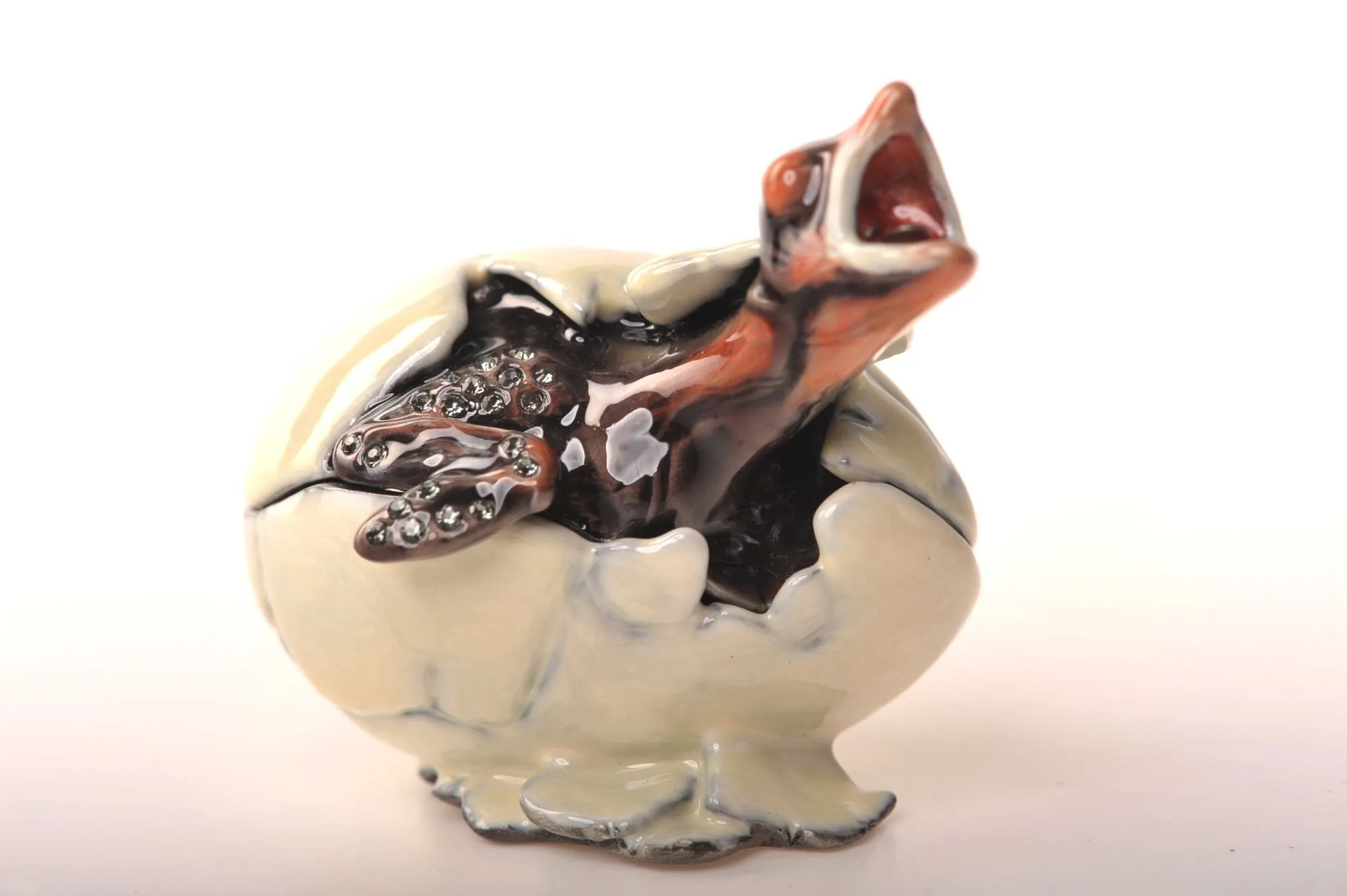 Hatching Chick