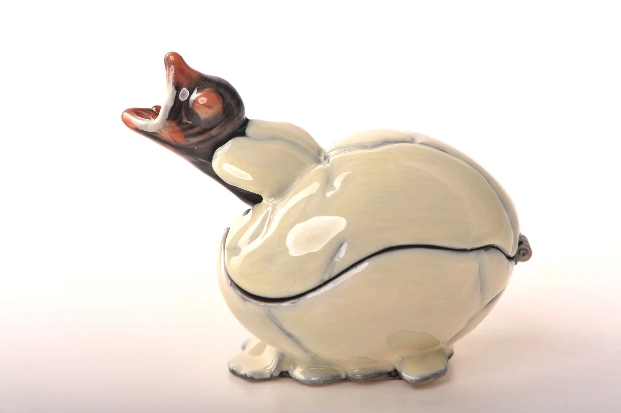 Hatching Chick